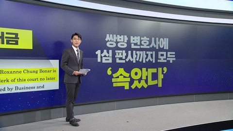법정 흔드는 AI 환각·조작…각국 사법부 \'비상\'