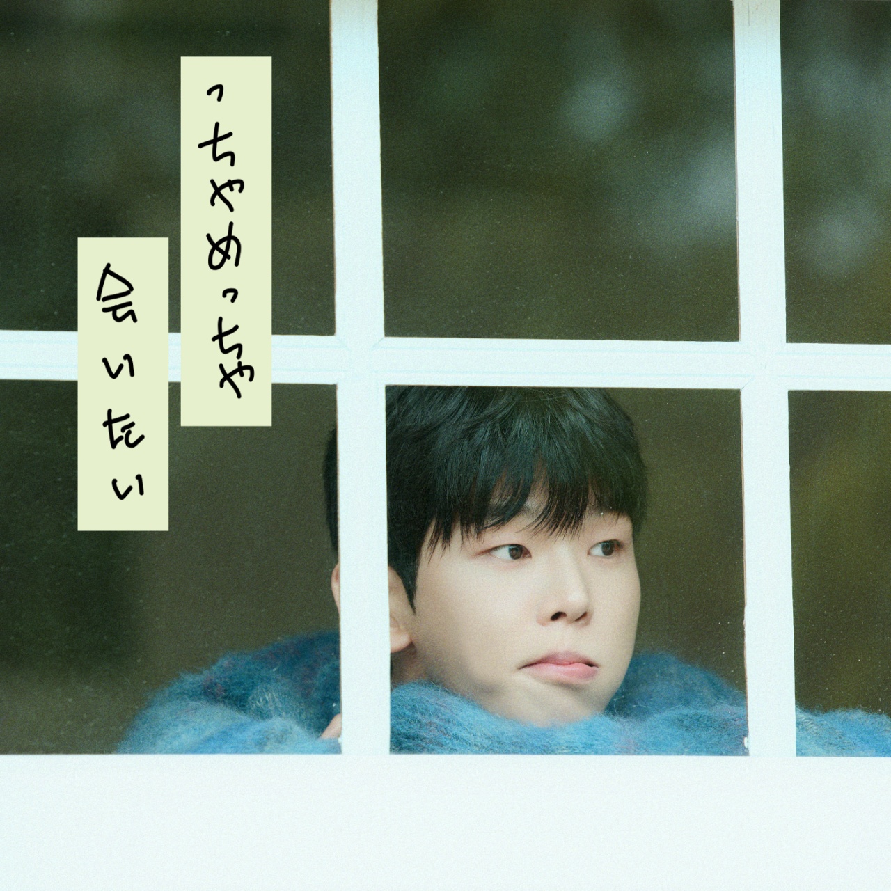 폴킴, 일본 활동 본격화…신곡 '짜 진짜 보고 싶어' 선공개