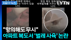 "관리소 항의해도 무시"... 아파트 복도서 \'바퀴벌레 사육\' 논란 [지금이뉴스]