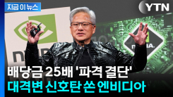 엔비디아 집어삼킨 역설 있었지만...\'12분기 신기록\' 뒤 파격 결단 [지금이뉴스]