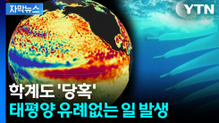기후 이상 현상을 설명하는 방송 화면