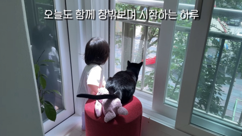 박수홍, '반려묘 방치' 의혹 일축? “딸과 이러고 놀아”