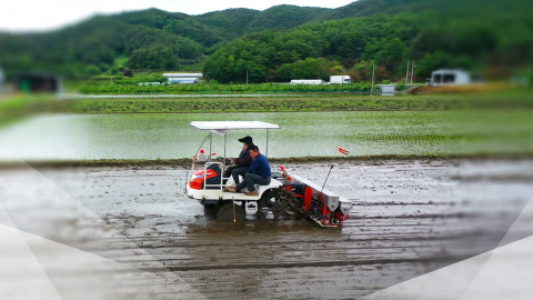 [新농비] 주춤거리는 벼 직파…다목적 직파기가 해결사?