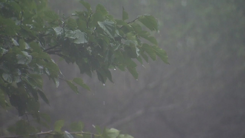 [날씨] 여름의 시작, 30℃ 안팎 더위…제주 최고 150mm 호우
