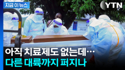 사망자만 246명...WHO가 주목한 에볼라 확산 상황 [지금이뉴스]