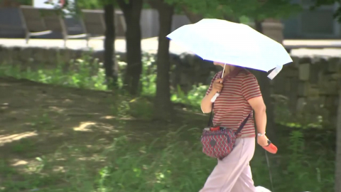 [날씨] 내일 서울 최고 더위 예상…밤사이 남부·제주 많은 비
