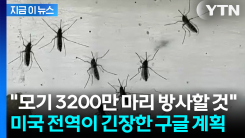 "생태계 교란" vs "감염병 차단"... 미국 전역을 발칵 뒤집은 실험 [지금이뉴스]