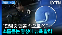 "나올 땐 옷까지 벗고"... 맨홀에서 올라온 남성들에 뉴욕 발칵 [지금이뉴스]