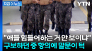 3km 뛰더니 