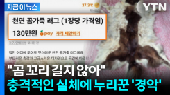 당근 뒤집어놓은 \'곰 가죽 러그\'... 충격적인 실체에 누리꾼 경악 [지금이뉴스]
