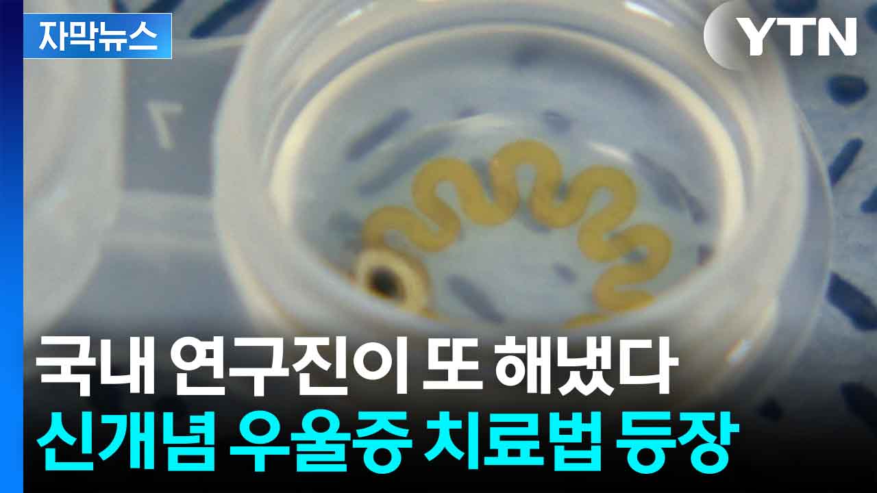 [자막뉴스] 상상도 못한 우울증 치료...국내 연구진이 또 해냈다
