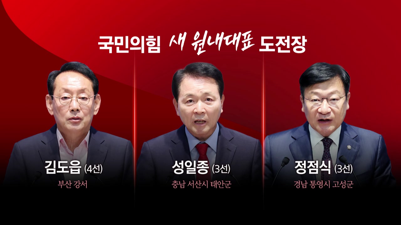 국민의힘 새 '원내 사령탑'은?...장동혁·한동훈 쟁점