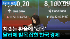 글로벌 금융위기 넘어선 \'환율 위기\'...정부도 \'발동동\' [굿모닝위기]