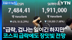 코스피 급락 패닉에...골드만삭스는 뜻밖의 분석 [지금이뉴스]