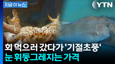 요즘 횟값 '깜짝'...앞으로가 더 걱정 [지금이뉴스] 
