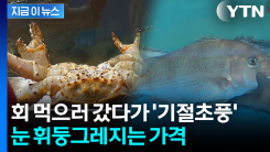 요즘 횟값 \'깜짝\'...앞으로가 더 걱정 [지금이뉴스] 