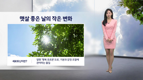 [이슈날씨] 햇살 좋은 날의 작은 변화…내일 중부, 경북 지역 대체로 맑아