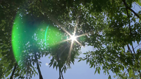 [날씨] 한낮 여름 더위 기승, 서울 32℃…강원·남부 곳곳 소나기