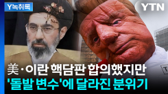 미국·이란 MOU에 숨은 계산법...전문가 "그게 외교의 묘미" [Y...