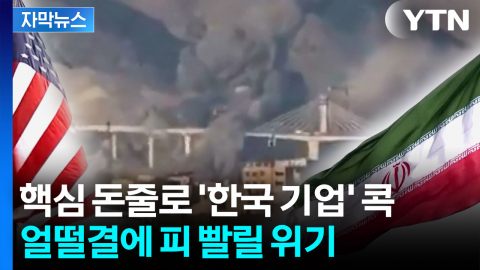 [자막뉴스] 핵심 돈줄로 '한국 기업' 콕...미국 동맹국, 뜯길 위기