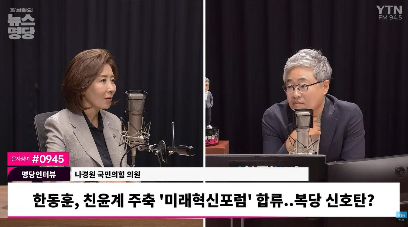 나경원 "한동훈 복당 논의할 때 아냐... 당 자산? 보수에 '그런 자산' 많다"