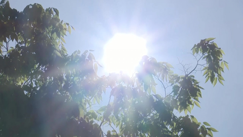  영남 이어 경기 내륙도 폭염특보...서울도 32℃