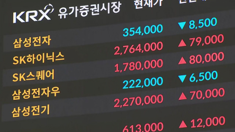 반도체가 만든 '9천피'…"쏠림으로 변동성 확대"