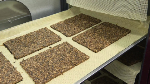 "고기 맛 버섯포"…버섯의 화려한 변신