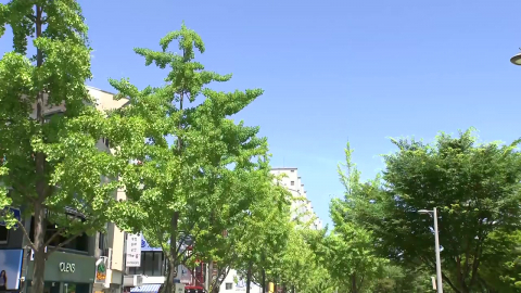 [날씨] 내일도 내륙 낮 더위…동해안·남해안 산발적 비