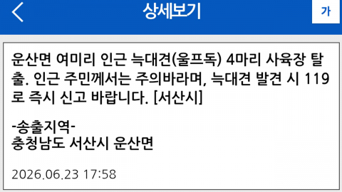 서산시 \'탈출 늑대 개\' 3마리 수색 중…"주의 당부"