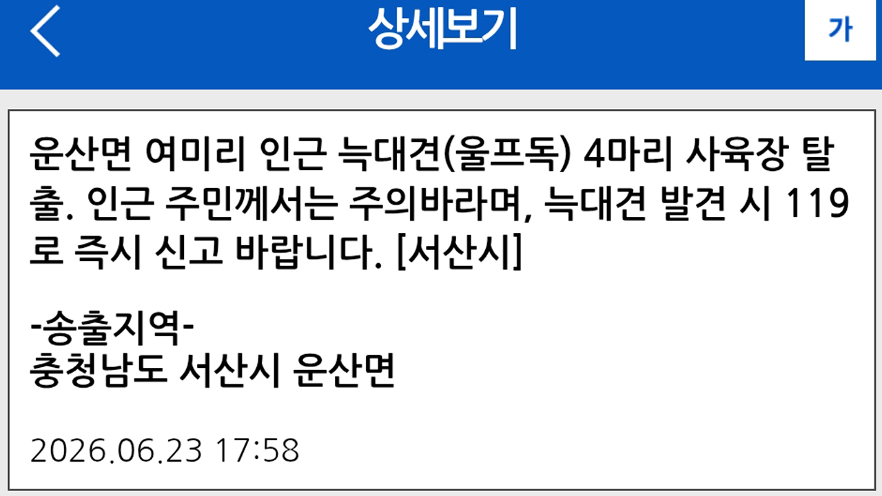 서산시 '탈출 늑대 개' 3마리 수색 중..."주의 당부"