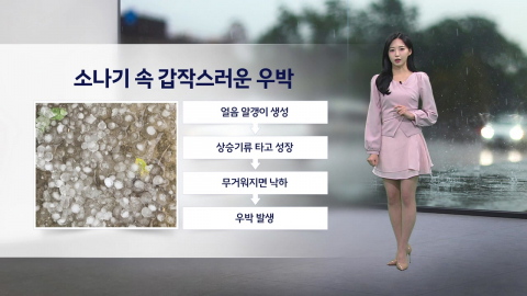 [이슈날씨] 내일 서쪽, 예년 기온 웃도는 더위...동쪽, 곳곳 요란한 소나기