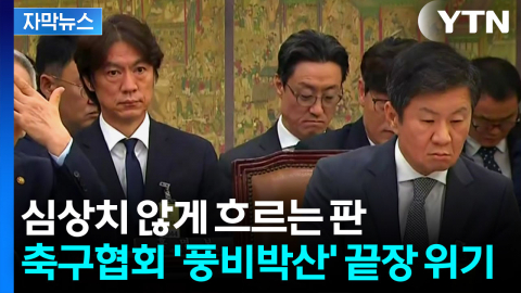 [자막뉴스] '월드컵 충격'에 벼르는 정치권...축구협회 탈탈 털릴 위기