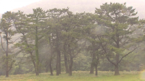 [날씨] 남부 장마권, 전남 해안·제주 호우특보…중부는 폭염