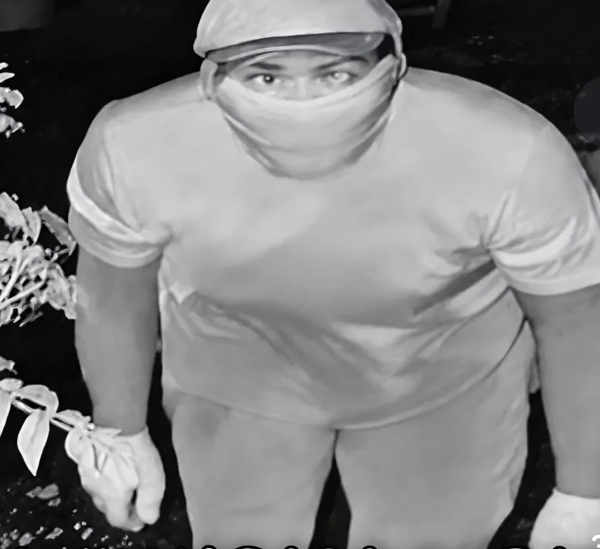"외국인 같은데" CCTV 포착된 복면 살해범...알고 보니 AI 사진