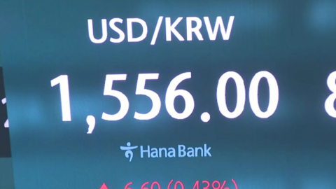 코스피 2% 내린 8,303…환율 또 금융위기 이후 최고치