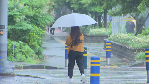 [날씨] 장맛비 하루 만에 소강…오늘도 곳곳 강한 소나기