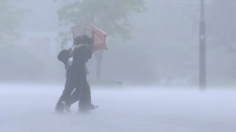 늦게 온 장마, 본격 시작?…주말 지나 전국 호우