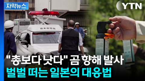 [자막뉴스] 1톤 곰에 맞서는 스프레이?...일본서 나온 화제의 대응법