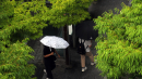 [속보] 충청·강원·전북 산사태 위기경보 '경계' 격상