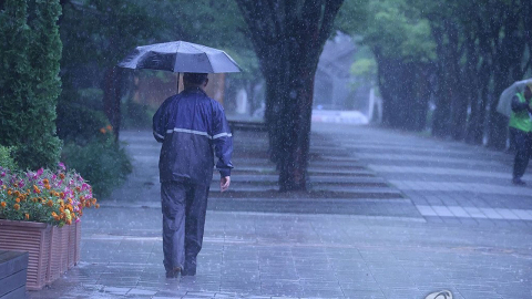  서울 서남권 호우주의보...경기 광명·시흥 호우주의보