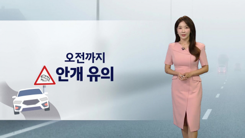 [날씨] 오전까지 안개 유의...낮 서울 33℃·대구 36℃