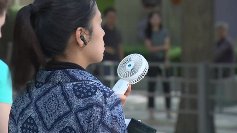 [날씨] 아침부터 체감 30℃ "오늘도 푹푹 찐다"...오후 소나기