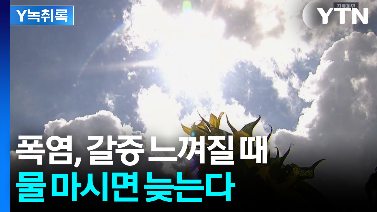 폭염, 갈증 느껴질 때 물 마시면 늦는다? [Y녹취록]