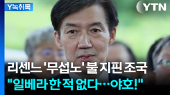 리센느 '무섭노' 불 지핀 조국 "일베라 한 적 없다...야호!" [Y...