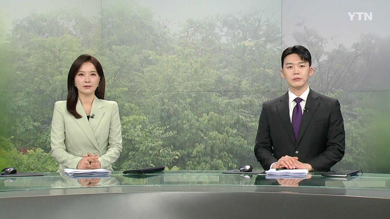 뉴스특보