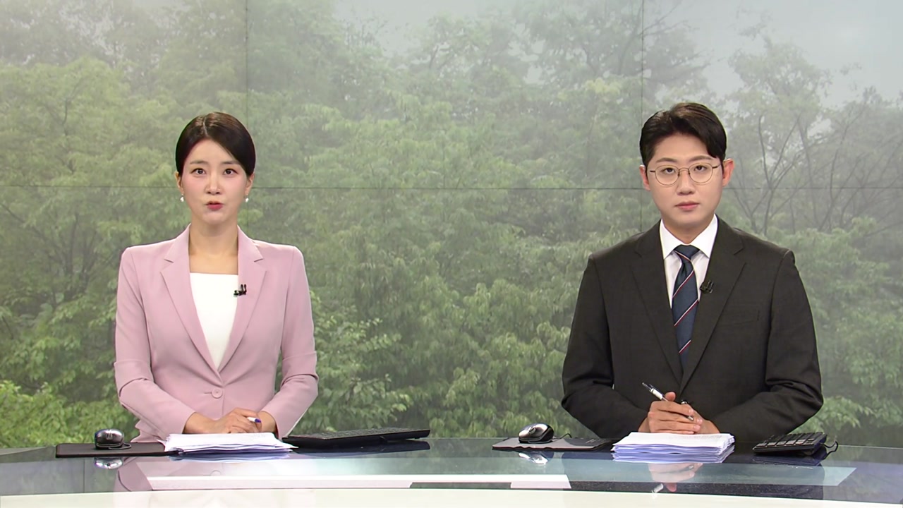 뉴스특보