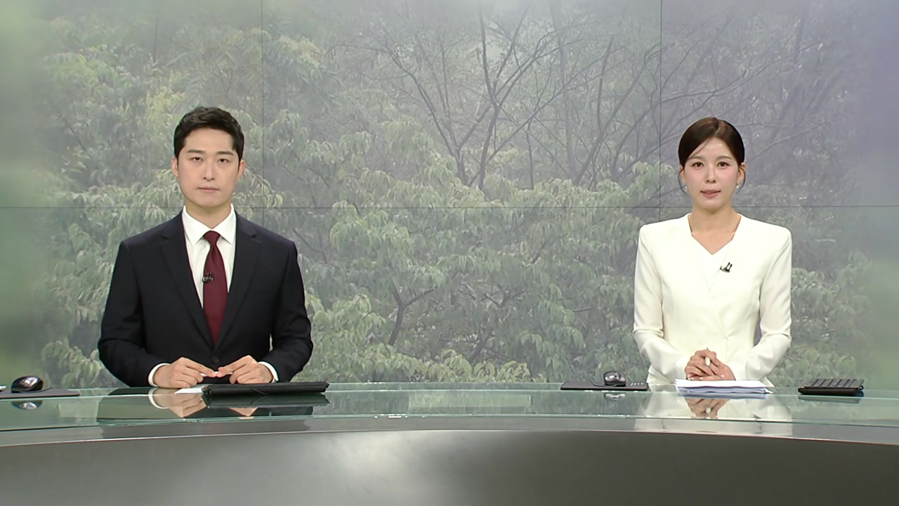 뉴스특보