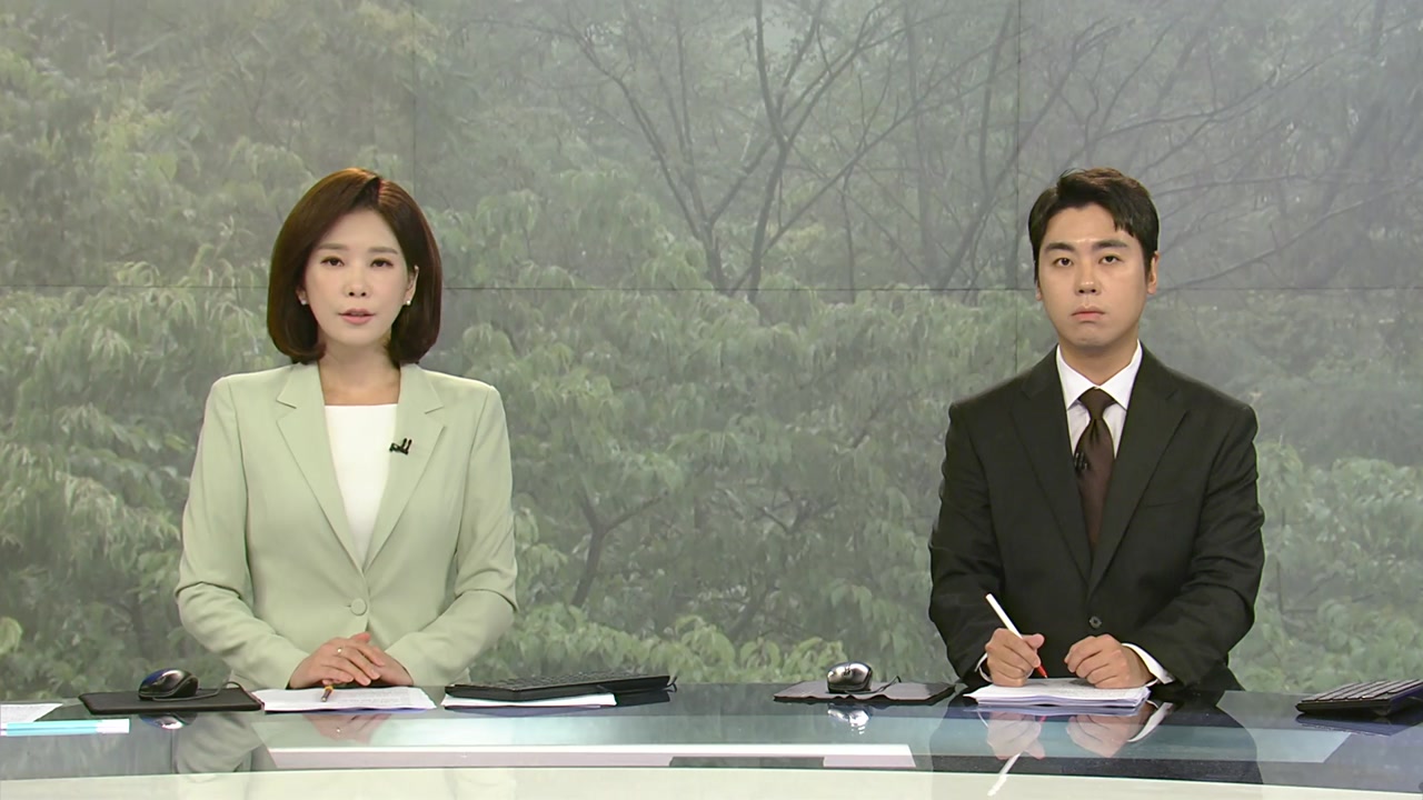 뉴스특보
