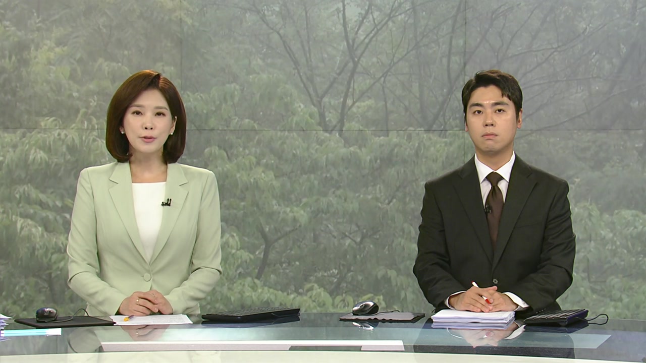뉴스특보